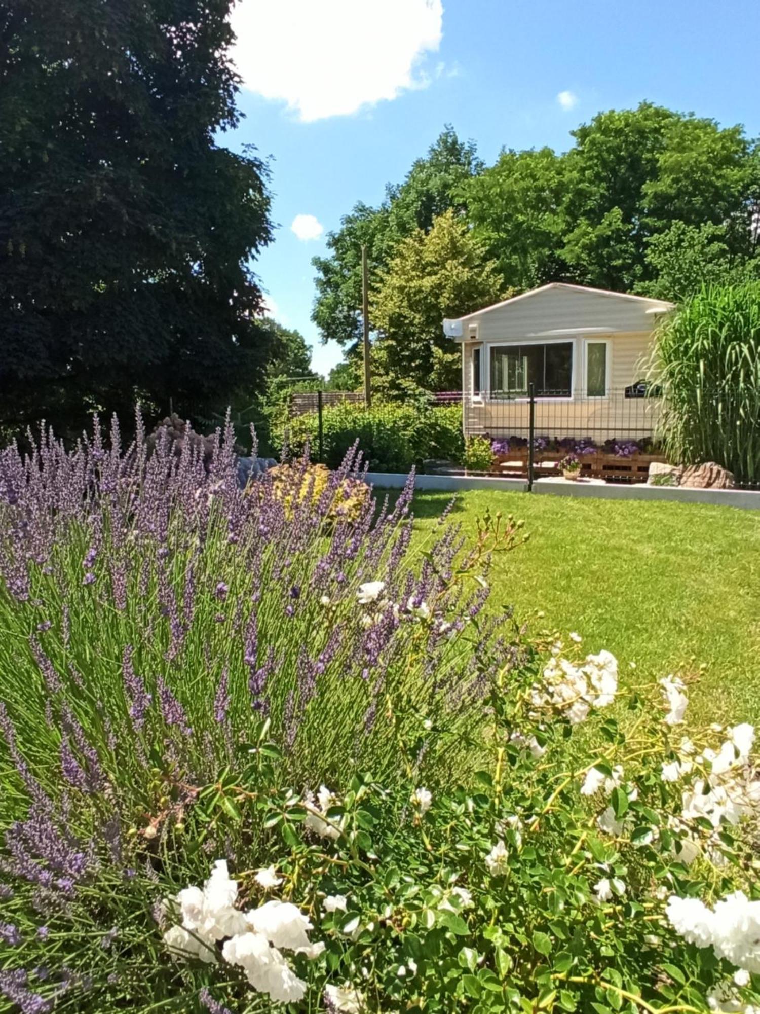 Villa Ubytovani Levandule à Kosin Extérieur photo